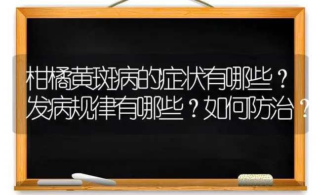 柑橘黄斑病的症状有哪些？发病规律有哪些？如何防治？ | 植物病虫害