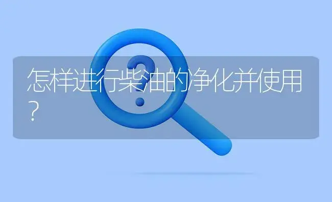 怎样进行柴油的净化并使用？ | 农资农机