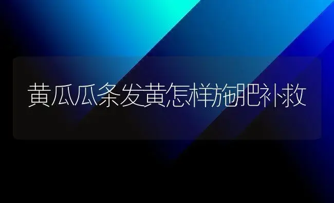 黄瓜瓜条发黄怎样施肥补救 | 植物肥料