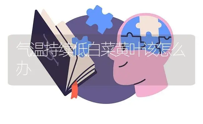 气温持续低白菜黄叶该怎么办 | 蔬菜种植