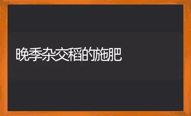 晚季杂交稻的施肥 | 植物肥料