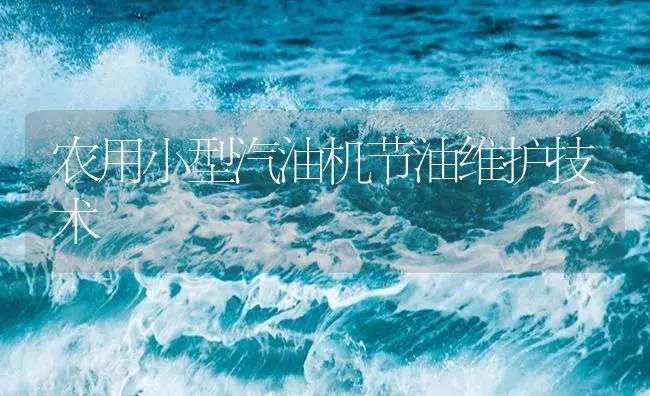 农用小型汽油机节油维护技术 | 农资农机