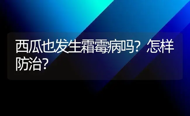 西瓜也发生霜霉病吗？怎样防治？ | 植物病虫害