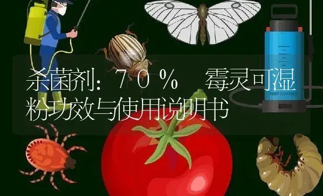 杀菌剂：70%噁霉灵可湿粉 | 适用防治对象及农作物使用方法说明书 | 植物农药