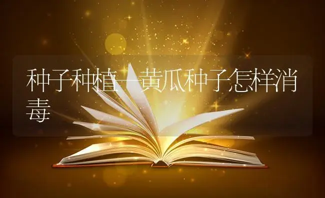 种子种植—黄瓜种子怎样消毒 | 蔬菜种植