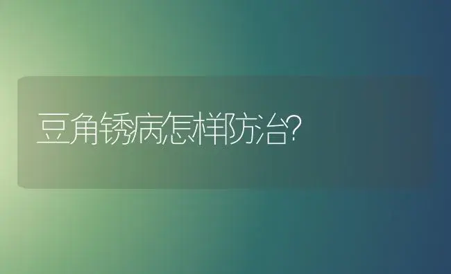 豆角锈病怎样防治？ | 植物病虫害