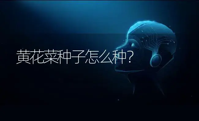 黄花菜种子怎么种？ | 蔬菜种植