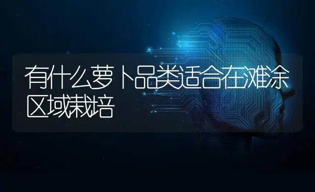 有什么萝卜品类适合在滩涂区域栽培 | 蔬菜种植