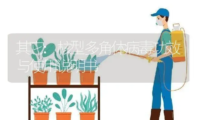 其它：核型多角体病毒 | 适用防治对象及农作物使用方法说明书 | 植物病虫害