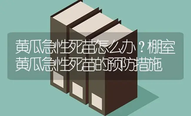 黄瓜急性死苗怎么办？棚室黄瓜急性死苗的预防措施 | 蔬菜种植