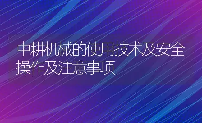 中耕机械的使用技术及安全操作及注意事项 | 农资农机