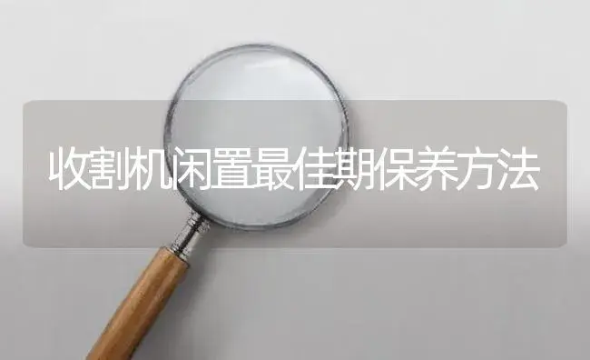 收割机闲置最佳期保养方法 | 农资农机