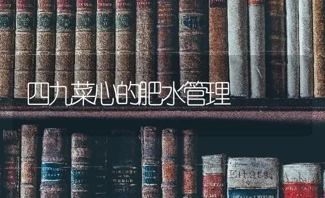 四九菜心的肥水管理 | 蔬菜种植