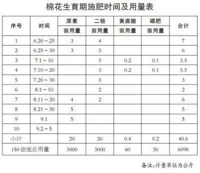 棉花高产种植的“阿拉尔模式”