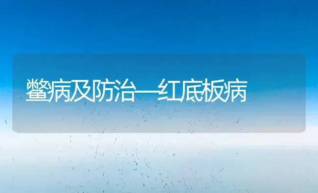 鳖病及防治―红底板病 | 植物病虫害