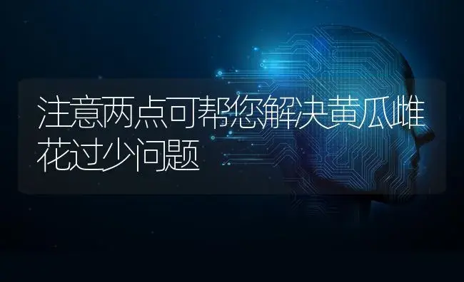 注意两点可帮您解决黄瓜雌花过少问题 | 蔬菜种植