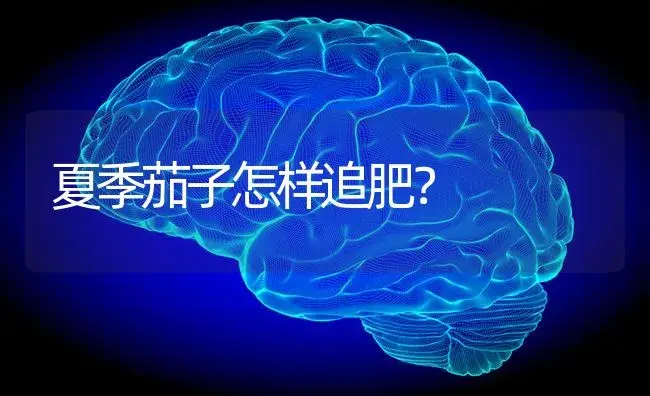 夏季茄子怎样追肥？ | 蔬菜种植