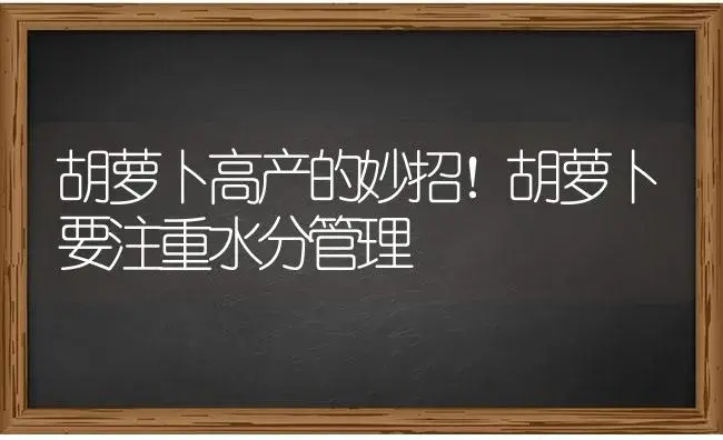 胡萝卜高产的妙招！胡萝卜要注重水分管理 | 蔬菜种植