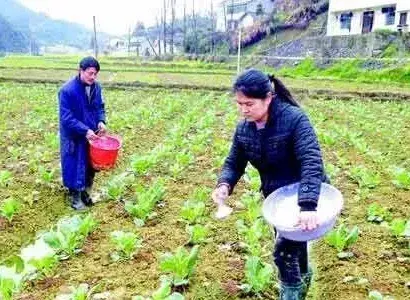 微量元素水溶肥料的性质与应用