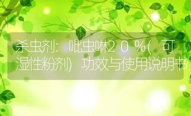 杀虫剂：吡虫啉20%(可湿性粉剂) | 适用防治对象及农作物使用方法说明书 | 植物农药