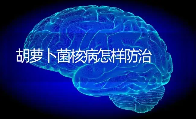 大葱出现小白点是虫害还是病害？（附防治方法） | 蔬菜种植