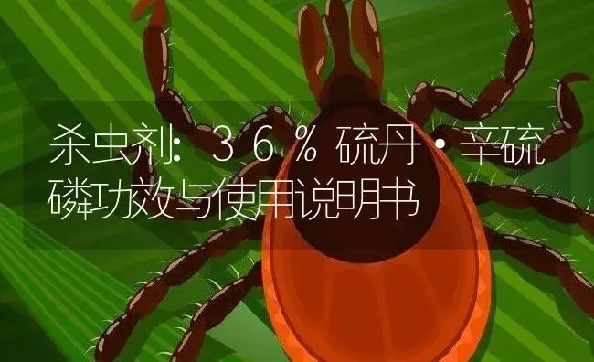 杀虫剂：36%硫丹·辛硫磷 | 适用防治对象及农作物使用方法说明书 | 植物农药