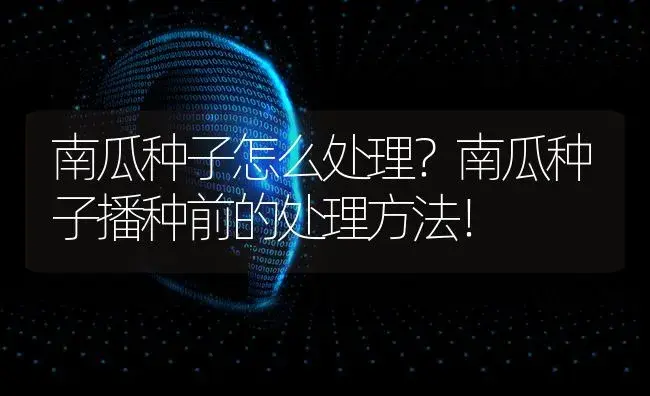 南瓜种子怎么处理？南瓜种子播种前的处理方法！ | 蔬菜种植