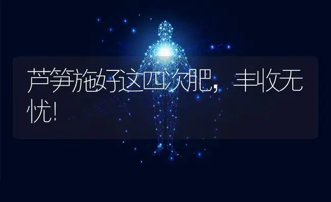 芦笋施好这四次肥，丰收无忧！ | 蔬菜种植