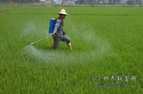 化学锄草剂 不可或缺但不可依赖