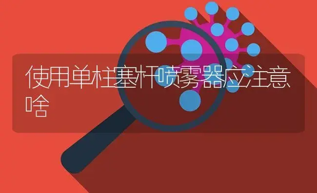 使用单柱塞杆喷雾器应注意啥 | 农资农机