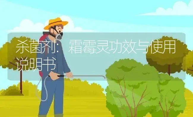 杀菌剂：霜霉灵 | 适用防治对象及农作物使用方法说明书 | 植物农药