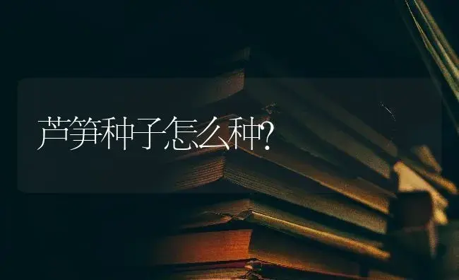 芦笋种子怎么种？ | 蔬菜种植