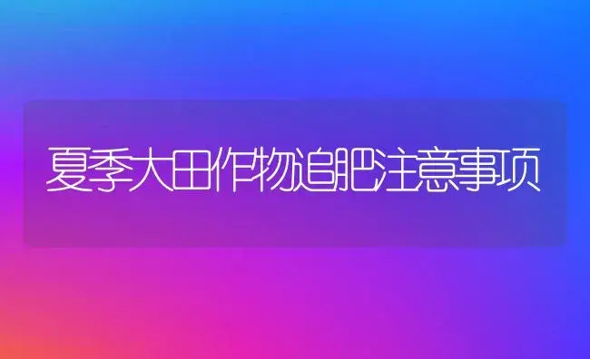 夏季大田作物追肥注意事项 | 植物肥料