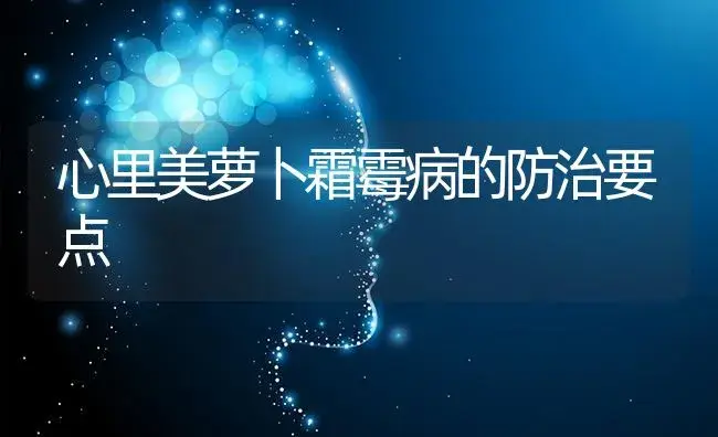 心里美萝卜霜霉病的防治要点 | 蔬菜种植