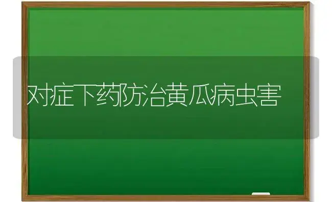 对症下药防治黄瓜病虫害 | 植物农药