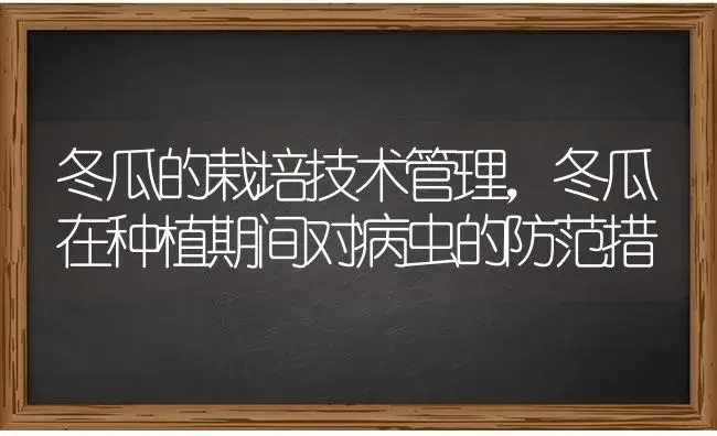 冬瓜的栽培技术管理，冬瓜在种植期间对病虫的防范措 | 蔬菜种植