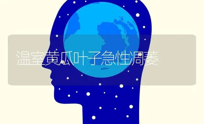 温室黄瓜叶子急性凋萎 | 蔬菜种植