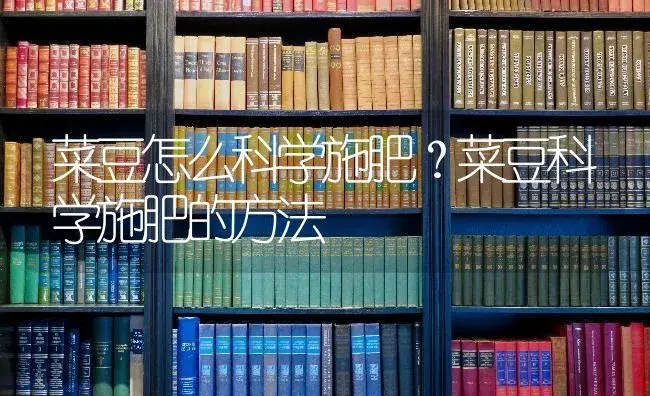 菜豆怎么科学施肥？菜豆科学施肥的方法 | 蔬菜种植