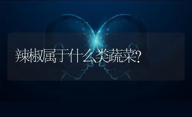 辣椒属于什么类蔬菜？ | 蔬菜种植