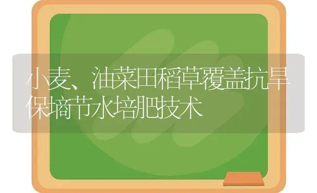 小麦、油菜田稻草覆盖抗旱保墒节水培肥技术 | 植物肥料