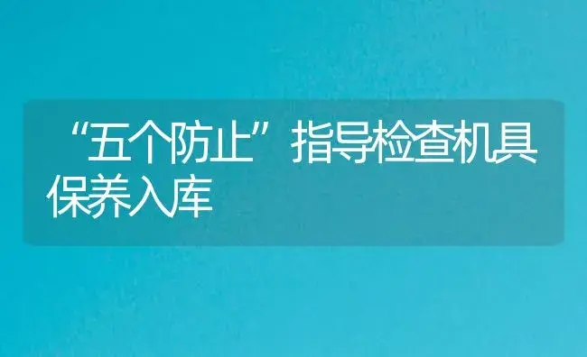 “五个防止”指导检查机具保养入库 | 农资农机