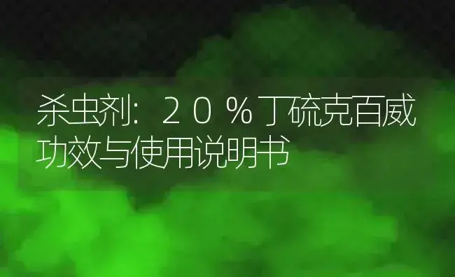 杀虫剂：20%丁硫克百威 | 适用防治对象及农作物使用方法说明书 | 植物农药