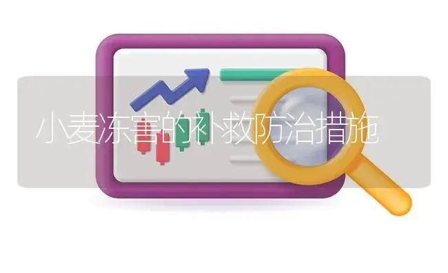 小麦冻害的补救防治措施 | 植物病虫害