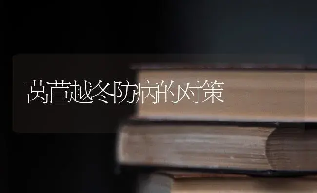 莴苣越冬防病的对策 | 蔬菜种植