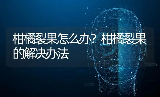 柑橘裂果怎么办？柑橘裂果的解决办法 | 蔬菜种植