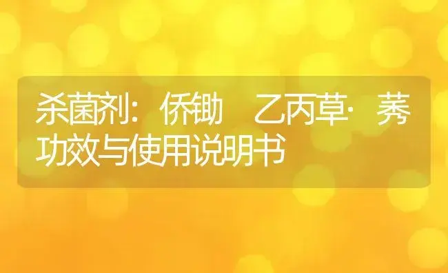 杀菌剂：侨锄 乙丙草·莠 | 适用防治对象及农作物使用方法说明书 | 植物农药
