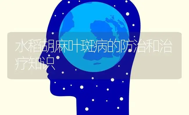 水稻胡麻叶斑病的防治和治疗知识 | 蔬菜种植