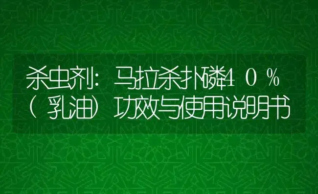 杀虫剂：马拉杀扑磷40%(乳油) | 适用防治对象及农作物使用方法说明书 | 植物农药