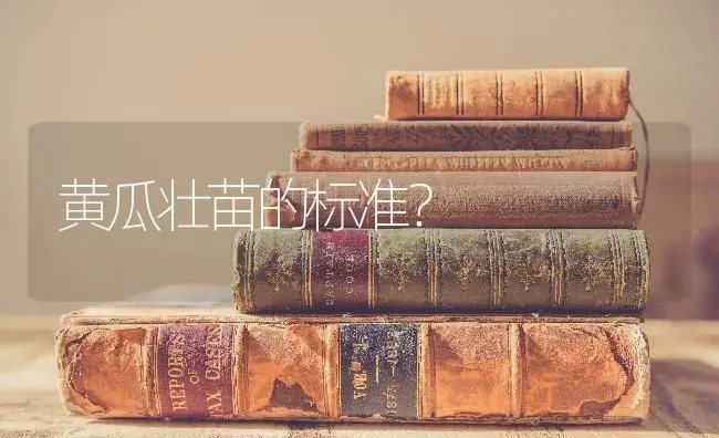 黄瓜壮苗的标准？ | 蔬菜种植