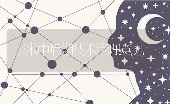 玉米中后期技术管理意见 | 蔬菜种植